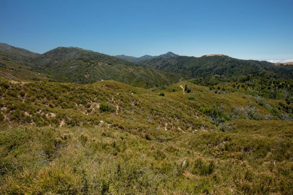 MLS #ML82019607 image #5