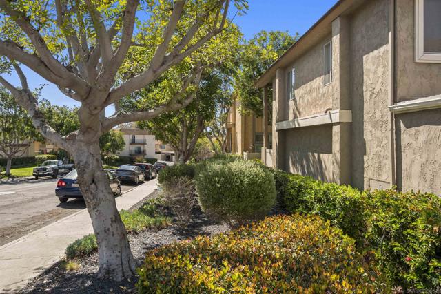 7836 Hummingbird Ln, San Diego CA: https://media.crmls.org/mediaz/f05cb80c-223c-4dd7-b15c-47da588bd554.jpg