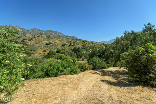 Detail Gallery Image 44 of 75 For 11461 Riverwood Dr, Sunland,  CA 91040 - 3 Beds | 2 Baths