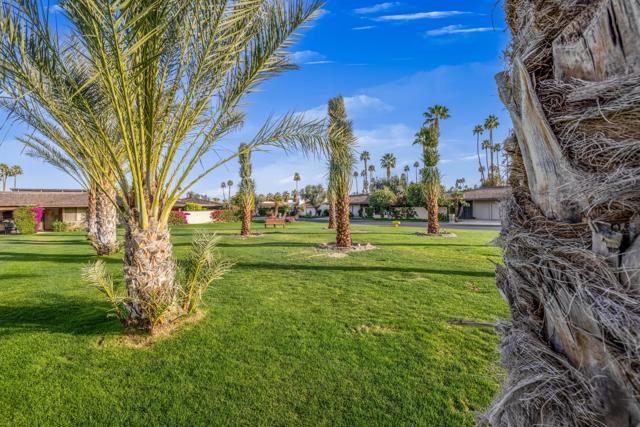 19 Colgate Drive, Rancho Mirage CA: https://media.crmls.org/mediaz/f0601a16-c1fb-4462-a6d3-df01641083dd.jpg