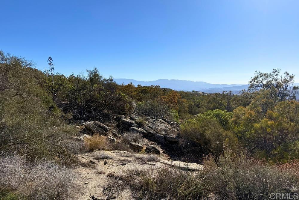 MLS #PTP2507282 image #16