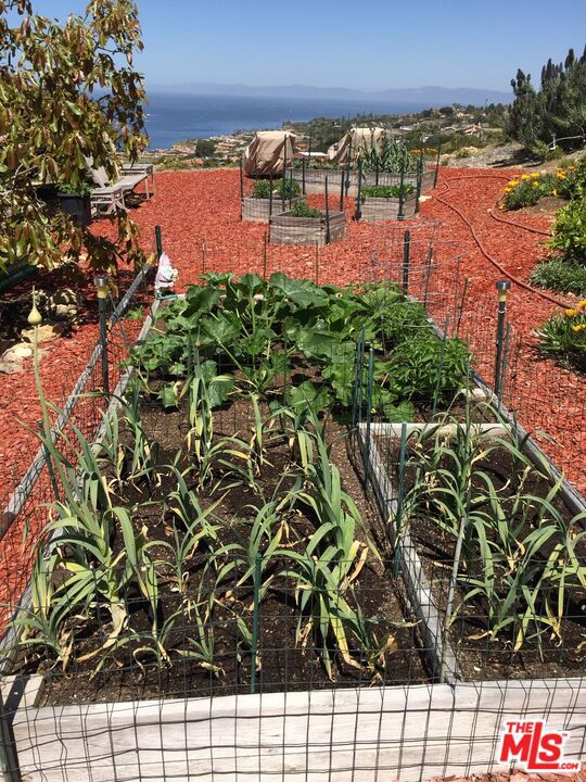 30963 Via La Cresta, Rancho Palos Verdes, California 90275, 4 Bedrooms Bedrooms, ,4 BathroomsBathrooms,Residential,Sold,Via La Cresta,25505459