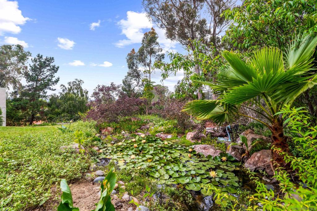 MLS #250028767SD img 66