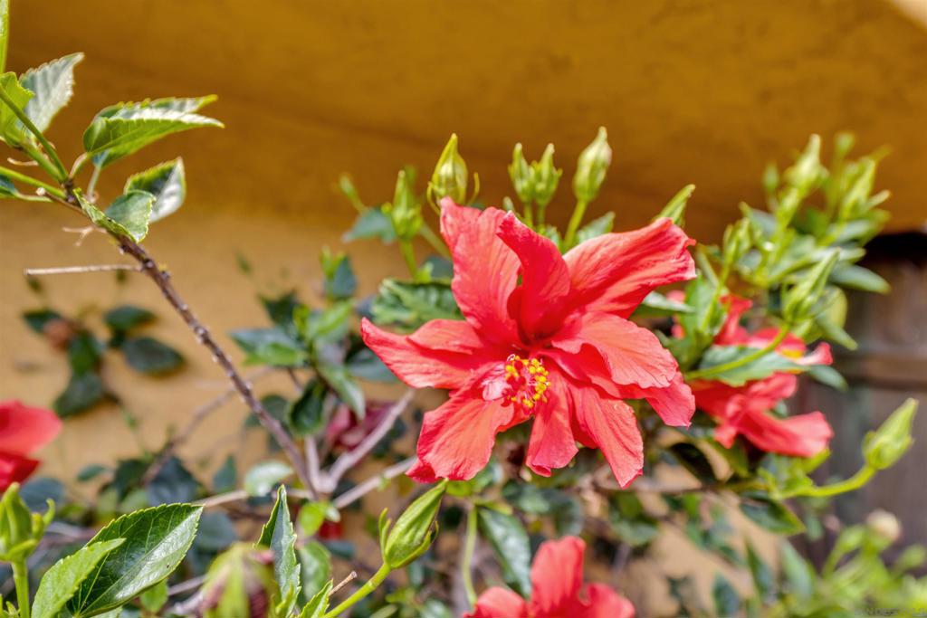 https://media.crmls.org/mediaz/f07c7fe2-caf6-443e-83f5-a509856aa940.jpg?preset=X-Large