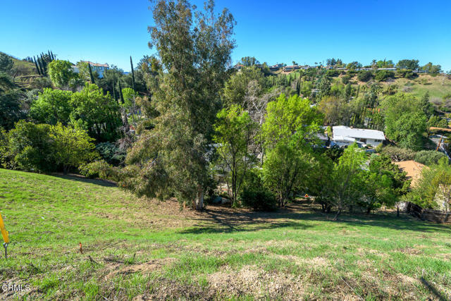 Detail Gallery Image 20 of 54 For 4845 N Calderon Rd, Woodland Hills,  CA 91364 - – Beds | – Baths