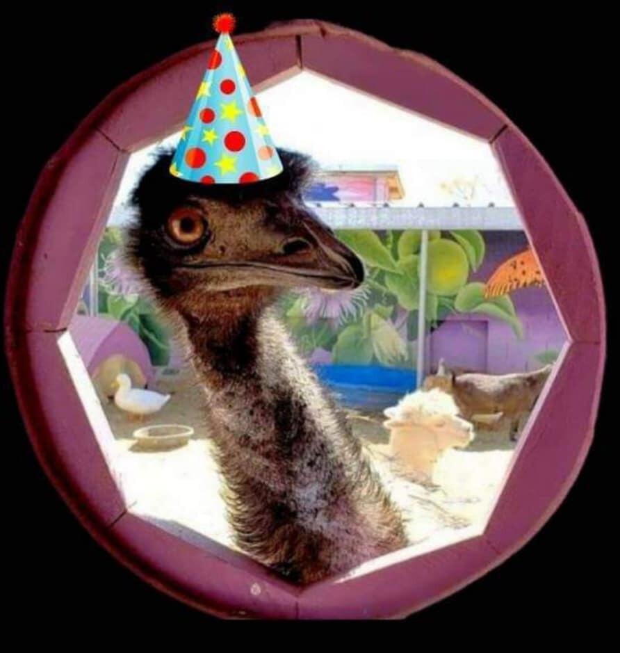 MLS #219138603PS image #14