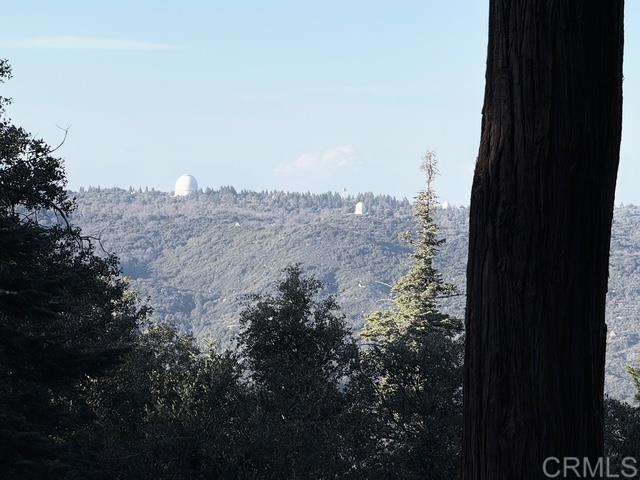 Detail Gallery Image 36 of 42 For 22136 Crestline Rd, Palomar Mountain,  CA 92060 - 1 Beds | 1/1 Baths
