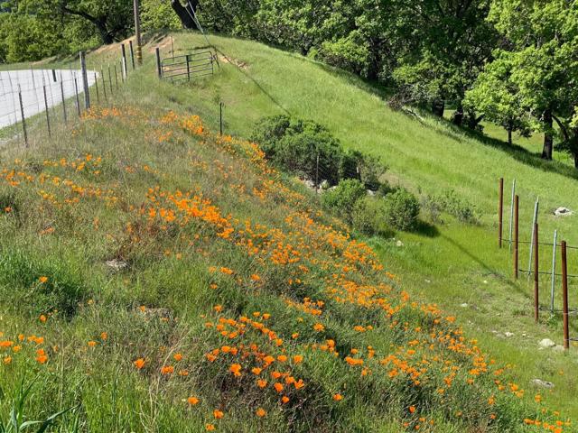 0 Hayes Lane, San Martin CA: https://media.crmls.org/mediaz/f0b50167-586b-40b1-a4df-7730f2eae5e8.jpg