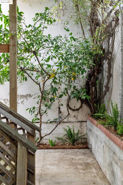 1402 15th St, San Francisco CA: https://media.crmls.org/mediaz/f0bcf60f-4032-4060-8cd0-103f9e489c0a.jpg