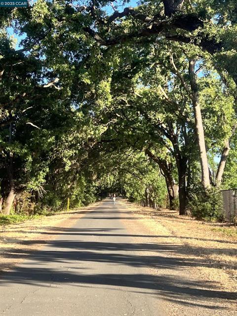 200 Lark Ln, Alamo CA: https://media.crmls.org/mediaz/f0bdc718-6cd0-470c-9033-3b704c715203.jpg