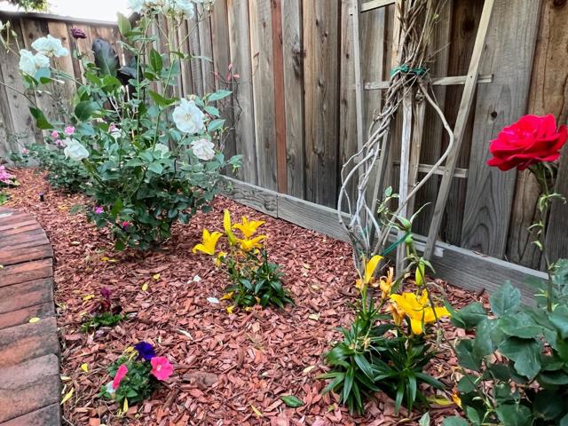 801 Ram Lane, Foster City CA: https://media.crmls.org/mediaz/f0be1c2a-5cb7-4760-8090-ecde6e9be132.jpg