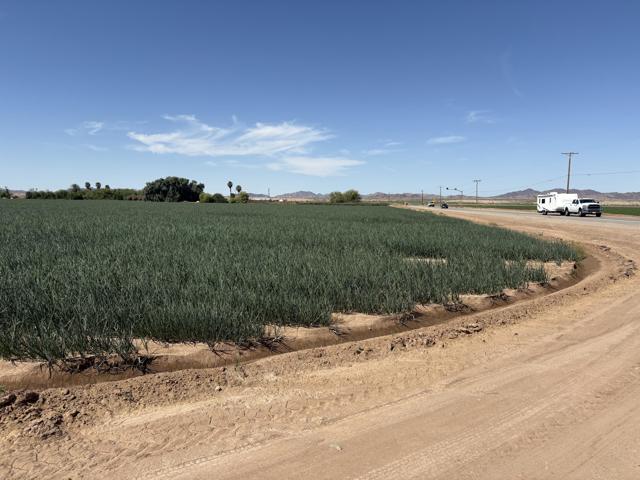 Image 4 of 17 For 187 Water Toll Acres On Ben Hulse Highway