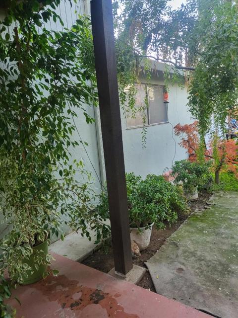 908 Marilyn Drive, Campbell CA: https://media.crmls.org/mediaz/f0cb9b96-5c78-49c4-afff-023044d5a0d1.jpg