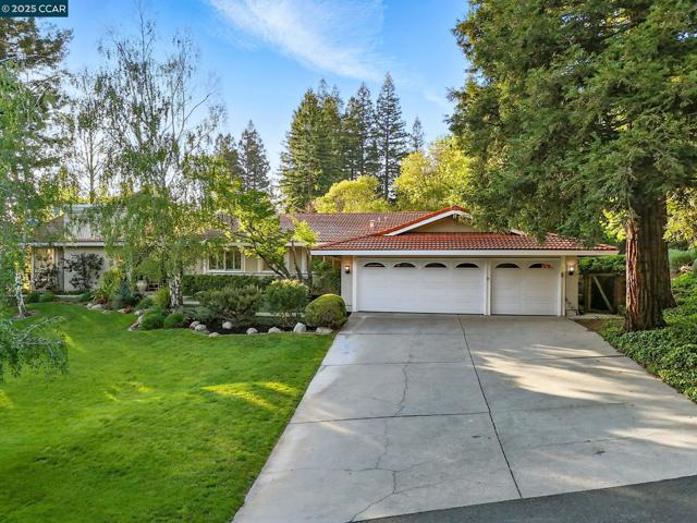 1804 Piedras Circle, Alamo CA: https://media.crmls.org/mediaz/f0cc7ceb-f307-4d55-bb01-44ba8519589e.jpg