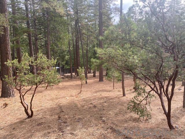 25651 Cedar Glen Dr, Idyllwild, CA 92549