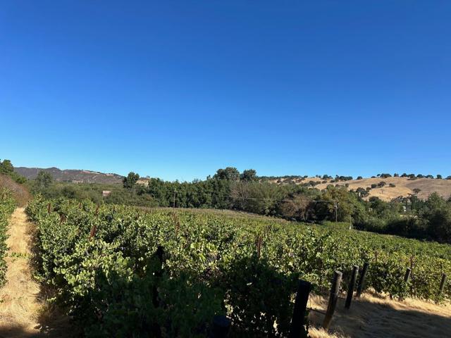 13160 Cienega Road, Hollister CA: https://media.crmls.org/mediaz/f0d74e91-67d3-4db0-a6a0-189ee85753c8.jpg