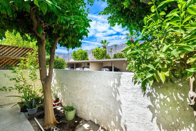 MLS #219133499PS image #23