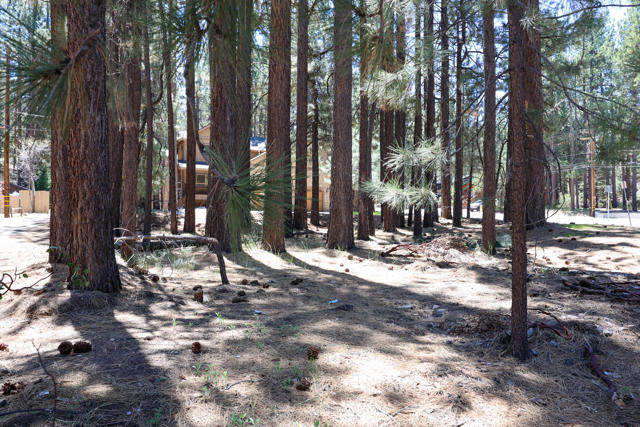 689 Summit Boulevard, Big Bear CA: https://media.crmls.org/mediaz/f0e7e7ad-3eed-4e45-83df-6f685f2b974e.jpg