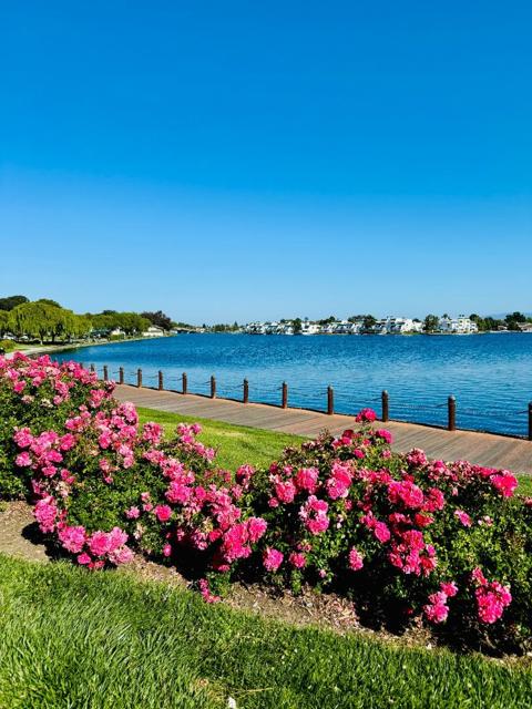 1081 Beach Park Boulevard, Foster City CA: https://media.crmls.org/mediaz/f0e9ad27-f921-4c06-9032-b7fe4351427b.jpg
