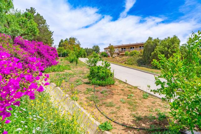 1964 Tracy Ct, Fallbrook CA: https://media.crmls.org/mediaz/f0f98bf4-25aa-4c6b-ba39-0f56d064a0fd.jpg