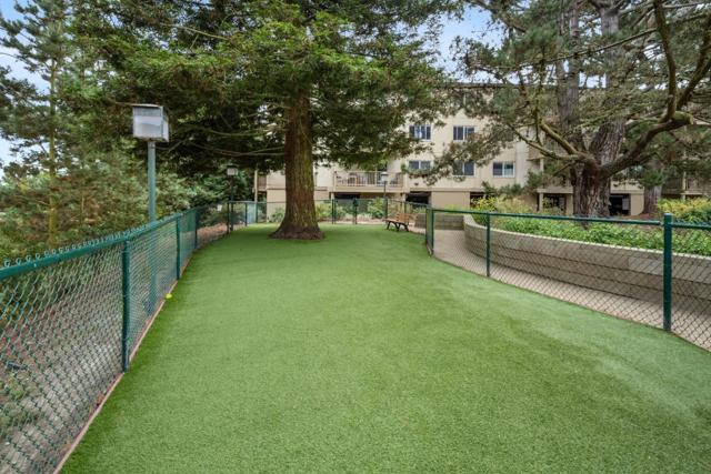 368 Imperial Way, Daly City CA: https://media.crmls.org/mediaz/f0f9ab4f-0ace-4a6f-ba10-b6908c4e9ee8.jpg