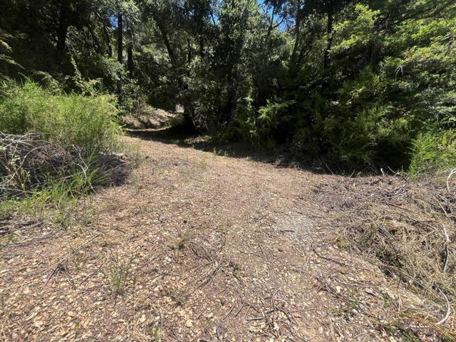0 Deer Creek (Lot 21), Boulder Creek CA: https://media.crmls.org/mediaz/f0fd2481-8e69-4e82-9561-094962ea3832.jpg