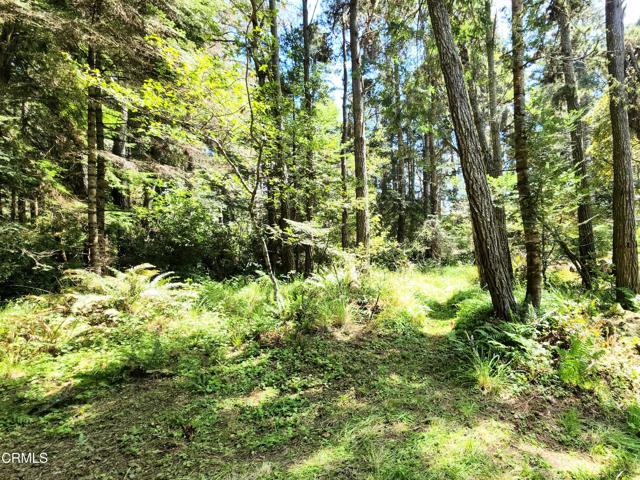 Detail Gallery Image 4 of 23 For 44551 Raven Ln, Mendocino,  CA 95460 - – Beds | – Baths