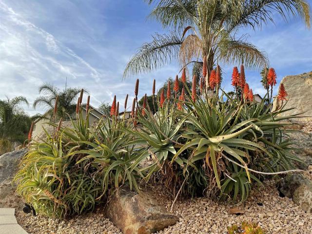 MLS #250032809SD image #7