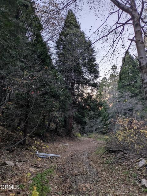 Detail Gallery Image 8 of 14 For 0 Fleming Creek, Lake Arrowhead,  CA 92352 - – Beds | – Baths