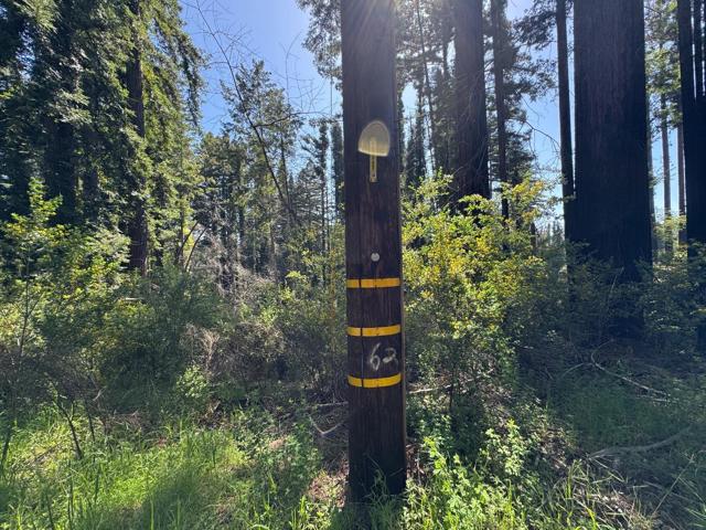 Image 3 of 5 For 0 Summit Drive