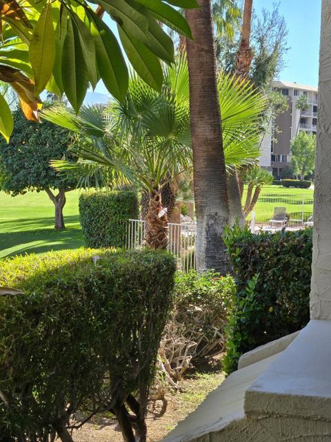 910 Island Drive, Rancho Mirage CA: https://media.crmls.org/mediaz/f11e570e-07e9-495c-8992-65082bb05775.jpg