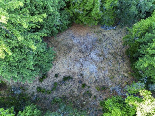 12 Montecito Road, Woodside CA: https://media.crmls.org/mediaz/f11ee075-aedf-4f77-9caa-0e788cc4410d.jpg