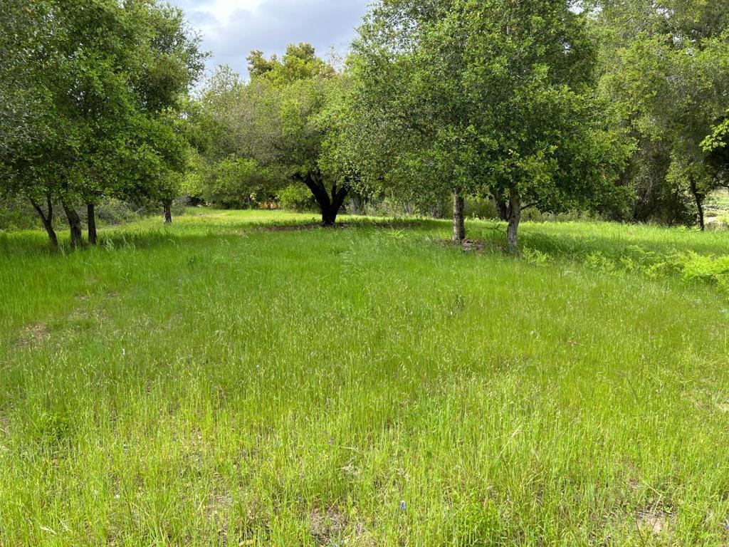 MLS #ML82007500 image #13