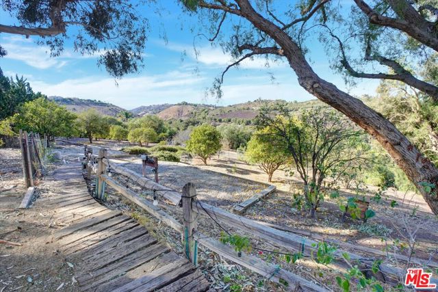 Walkway through Orchard
