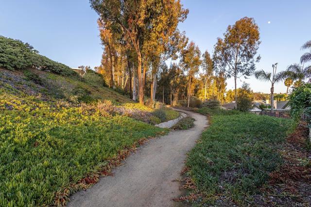 Detail Gallery Image 36 of 38 For 823 Viking Ln, San Marcos,  CA 92069 - 3 Beds | 2 Baths