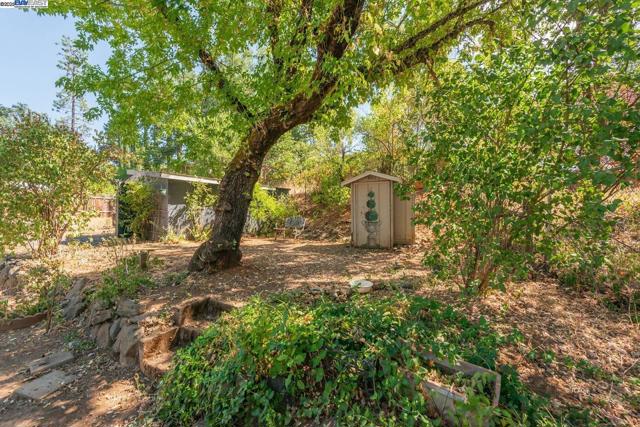 395 Masonic Ln, Weaverville CA: https://media.crmls.org/mediaz/f1346986-5191-4cbc-816a-c30f73438c5e.jpg