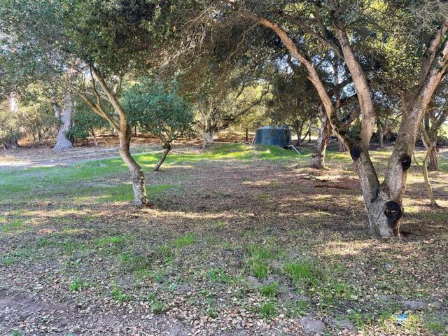 319 Echo Valley Road, Salinas CA: https://media.crmls.org/mediaz/f138ac1a-0f55-4c3d-a6b5-5b3483577002.jpg