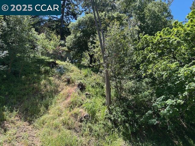 0 Starkville Ct, Orinda CA: https://media.crmls.org/mediaz/f13966dd-e94f-4cb3-a443-3811a634e6b7.jpg