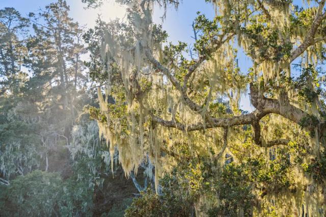 1100 Castro Road, Monterey CA: https://media.crmls.org/mediaz/f139b8e7-87bd-4c74-bc25-193b0b3d9dde.jpg