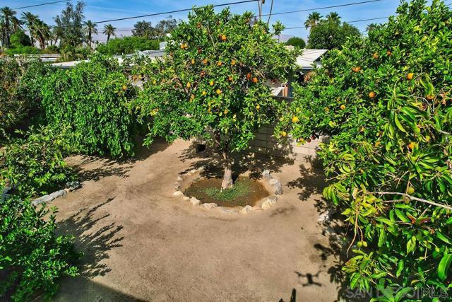 44784 Sherwood Drive, Indio CA: https://media.crmls.org/mediaz/f150e1a9-07da-46af-8fd0-399556d359b3.jpg