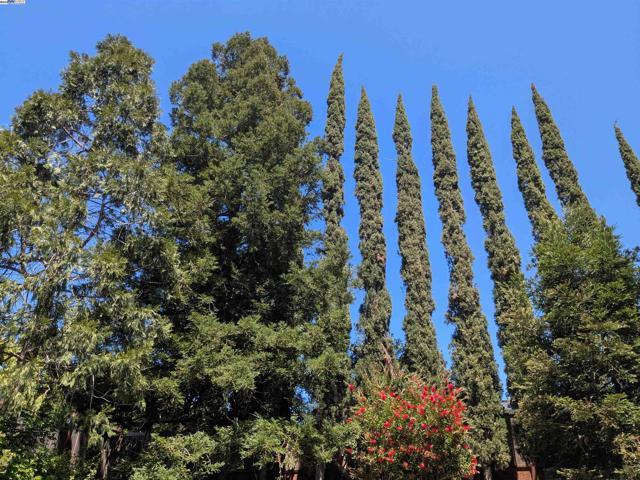2277 Stillcreek Ct, Martinez CA: https://media.crmls.org/mediaz/f153cf5f-68a4-42f2-9104-8d9944ba4195.jpg