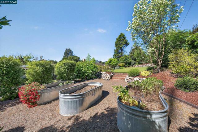 31 Ivy Dr, Orinda CA: https://media.crmls.org/mediaz/f158a761-b893-41f0-9c15-58f33b3c4463.jpg