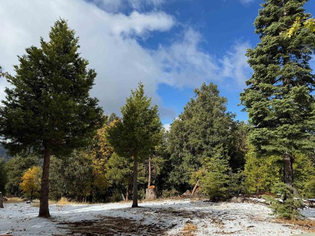 Detail Gallery Image 45 of 47 For 10 Acres Greenfield Way, Palomar Mountain,  CA 92060 - – Beds | – Baths