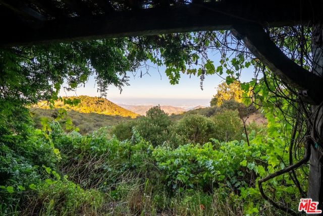 21965 Saddle Peak Road, Topanga CA: https://media.crmls.org/mediaz/f1718020-8b0a-4933-851e-f3733b13359e.jpg
