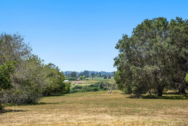 277 Wheelock Road, Corralitos CA: https://media.crmls.org/mediaz/f17bccd1-02f6-4369-8309-f2740c9e4704.jpg