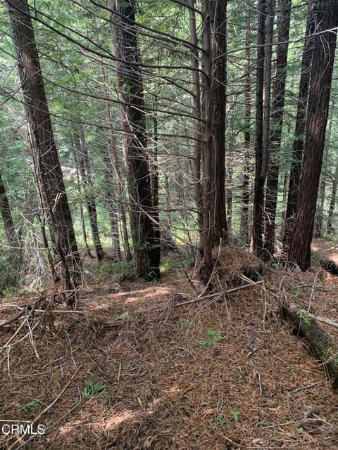 Detail Gallery Image 35 of 41 For 23501 Branscomb Rd, Westport,  CA 95488 - – Beds | – Baths