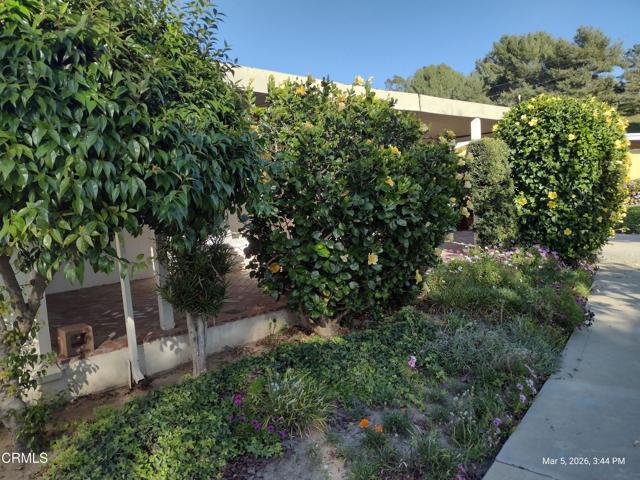 Detail Gallery Image 28 of 49 For 182 Rancho Adolfo Dr #83,  Camarillo,  CA 93012 - 2 Beds | 2 Baths