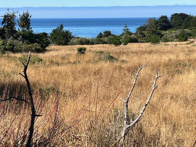 375 Spur Close,  CA: https://media.crmls.org/mediaz/f1a3fafe-9e96-42cb-8cd4-fdfea3b3bc47.jpg