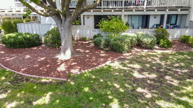 5408 Cribari Court, San Jose CA: https://media.crmls.org/mediaz/f1ac14b9-12dd-4b5a-9b2e-fd6e94d53b17.jpg