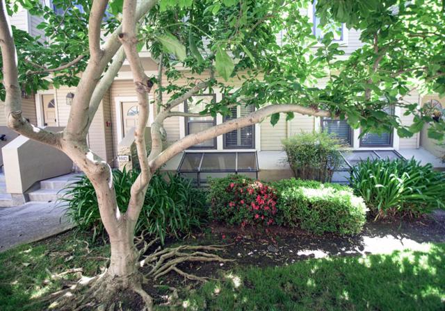 991 La Mesa Terrace, Sunnyvale CA: https://media.crmls.org/mediaz/f1b05f9e-673b-4388-b7f7-8b7b3ee2459c.jpg